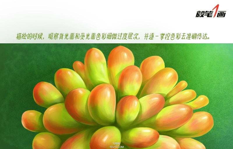 PS鼠绘小清新多肉植物插画教程