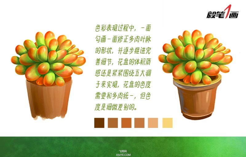 PS鼠绘小清新多肉植物插画教程