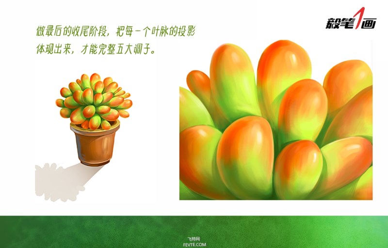 PS鼠绘小清新多肉植物插画教程