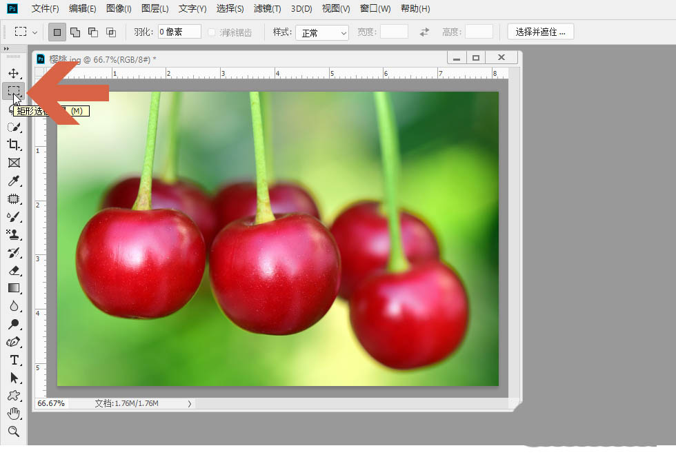 ps怎么进行打印? ps图片只打印局部选中区域的技巧