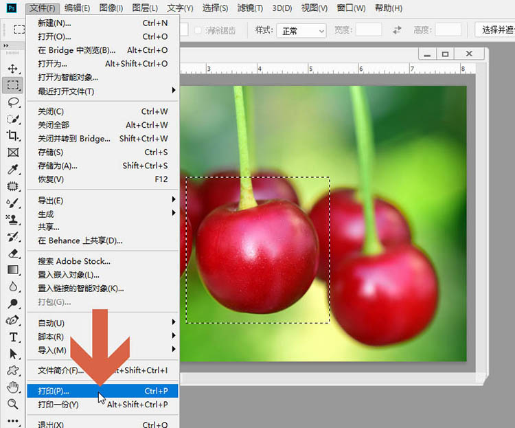 ps怎么进行局部打印? ps图片只打印选中区域的技巧