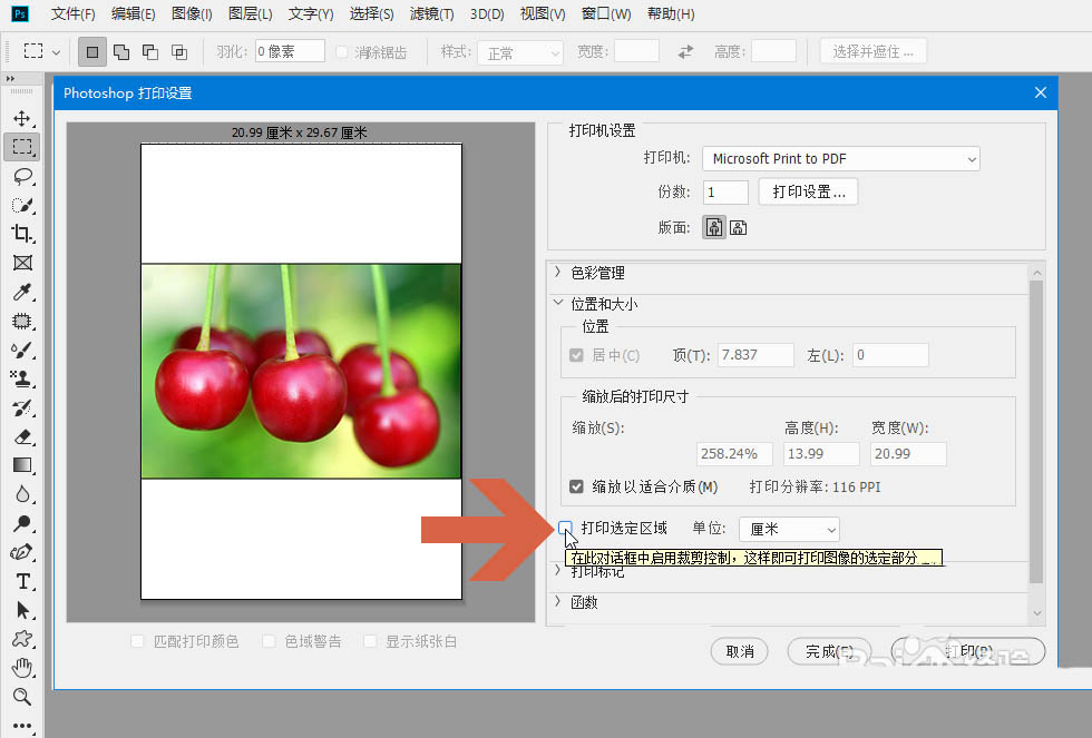 ps怎么进行局部打印? ps图片只打印选中区域的技巧