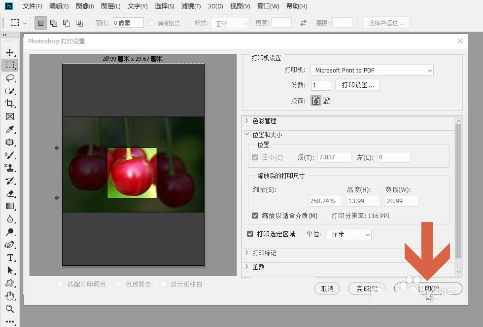 ps怎么进行局部打印? ps图片只打印选中区域的技巧