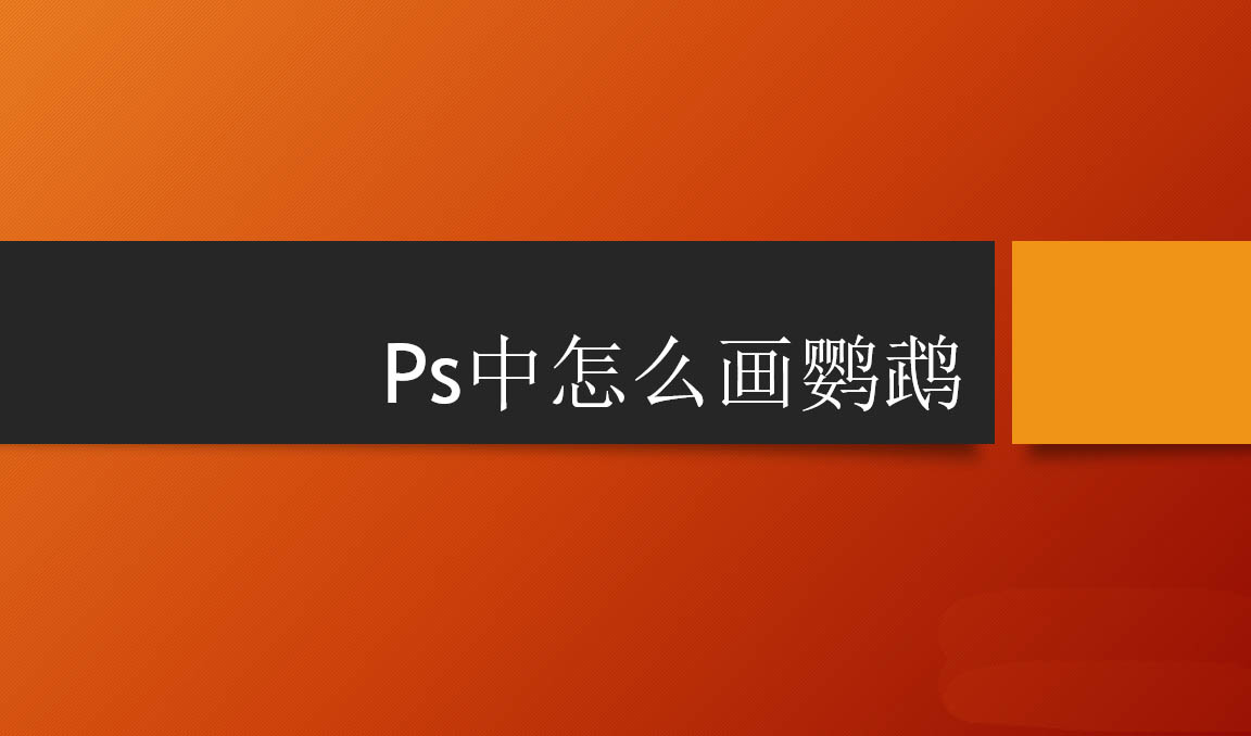 ps怎么快速画鹦鹉? ps利用形状工具画鹦鹉的教程