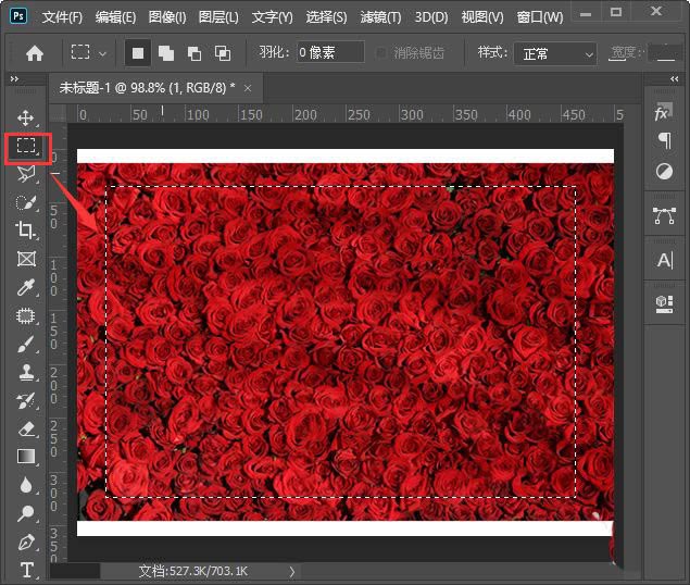 ps玫瑰花背景图怎么做喷色描边效果? ps喷色描边滤镜的用法