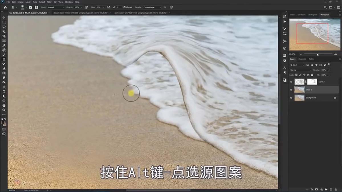 PS合成创意海边背着花的海龟和被掀起的海浪场景