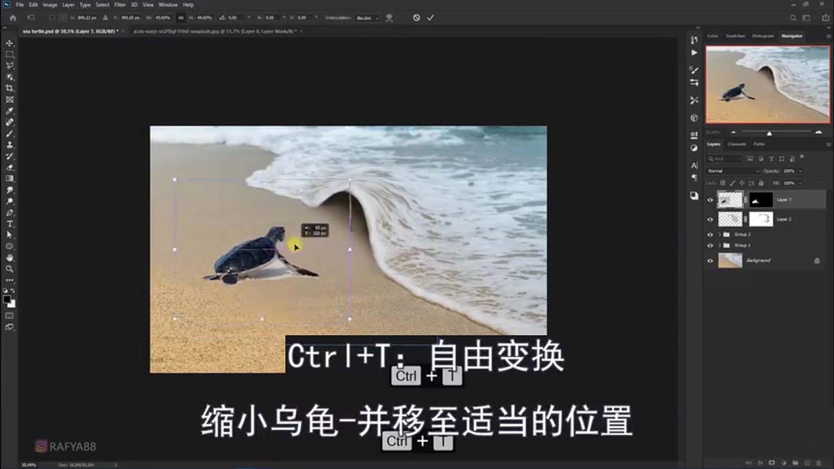 PS合成创意海边背着花的海龟和被掀起的海浪场景