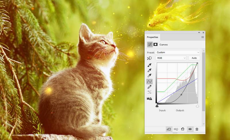 如何用PS合成猫看鱼的超现实场景?用PS合成猫咪看鱼的超现实场景教程