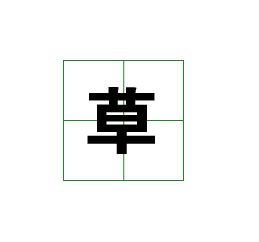 ps怎么做田字格米字格? ps文字添加田字格的技巧