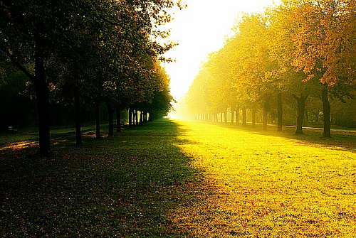 美图秀秀 美图秀秀