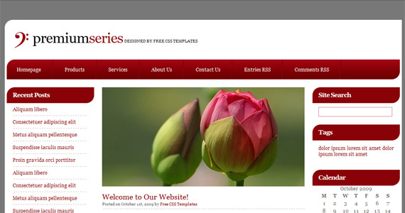 premium-series-css-xhtml-template