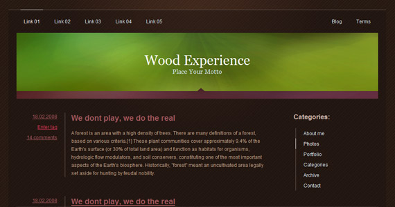 wood-experience-xhtml-css-模板