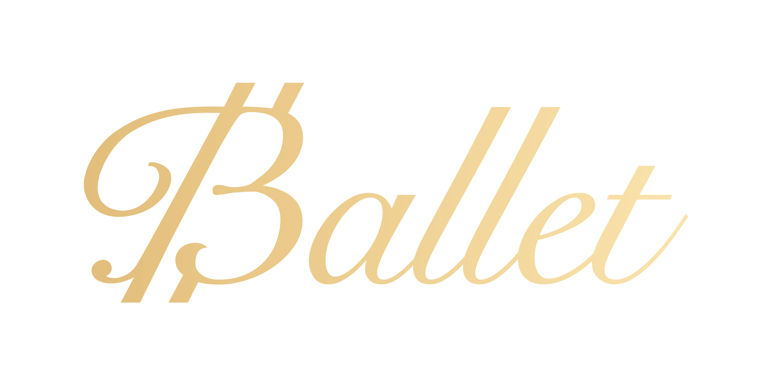 Ballet芭蕾钱包